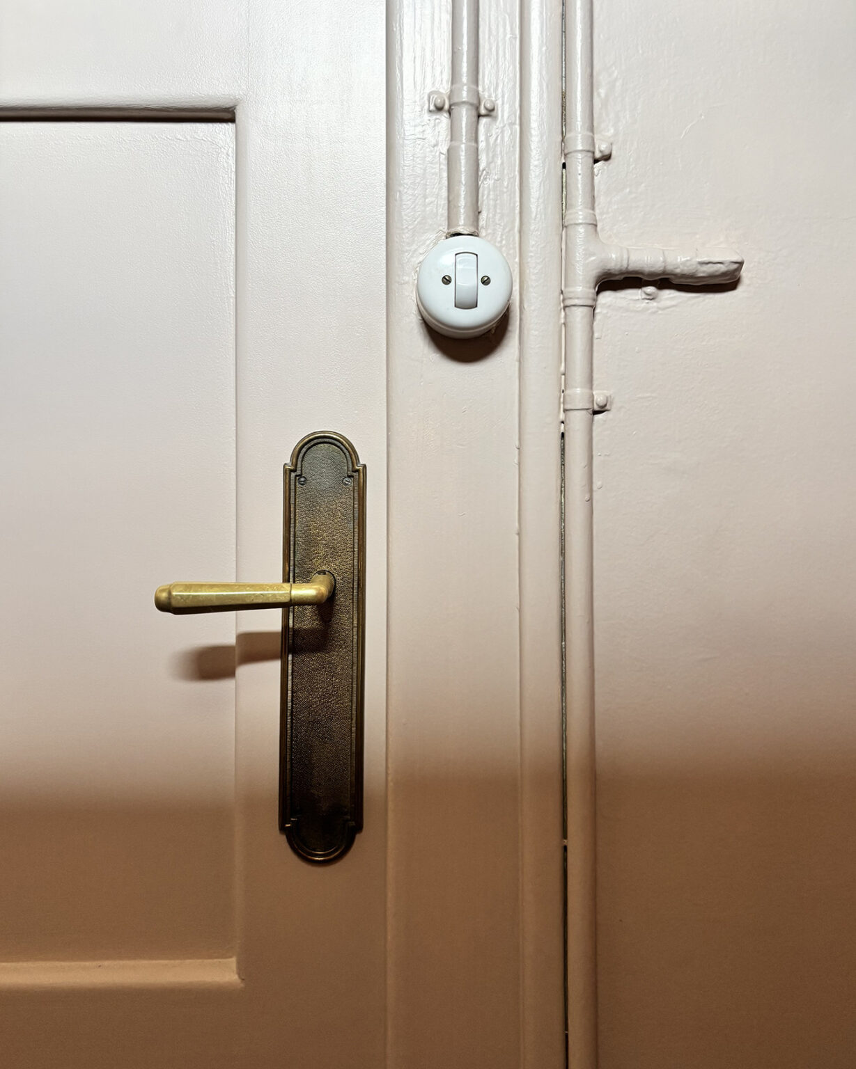 Toilettes colorées image 3