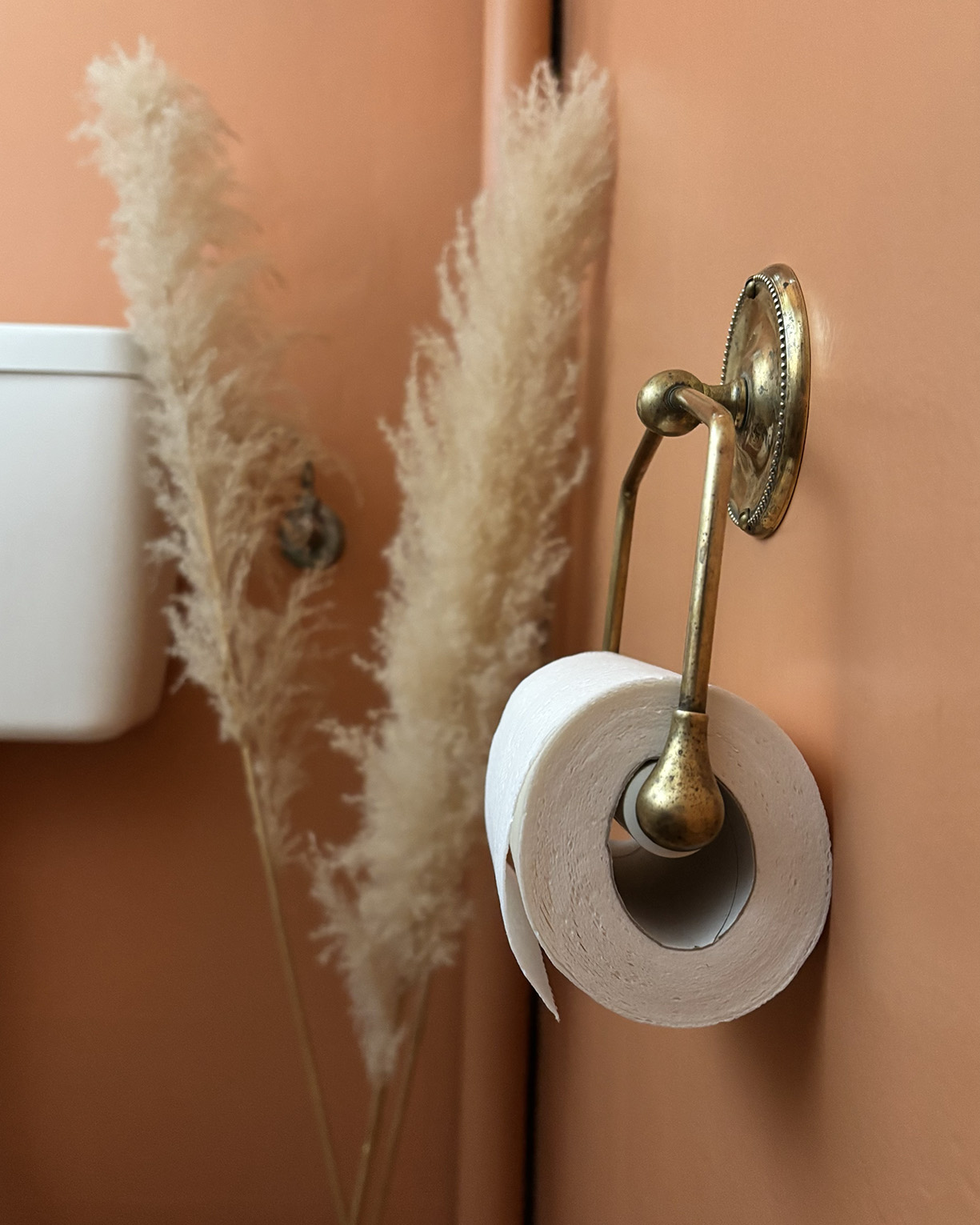 Toilettes colorées image 6