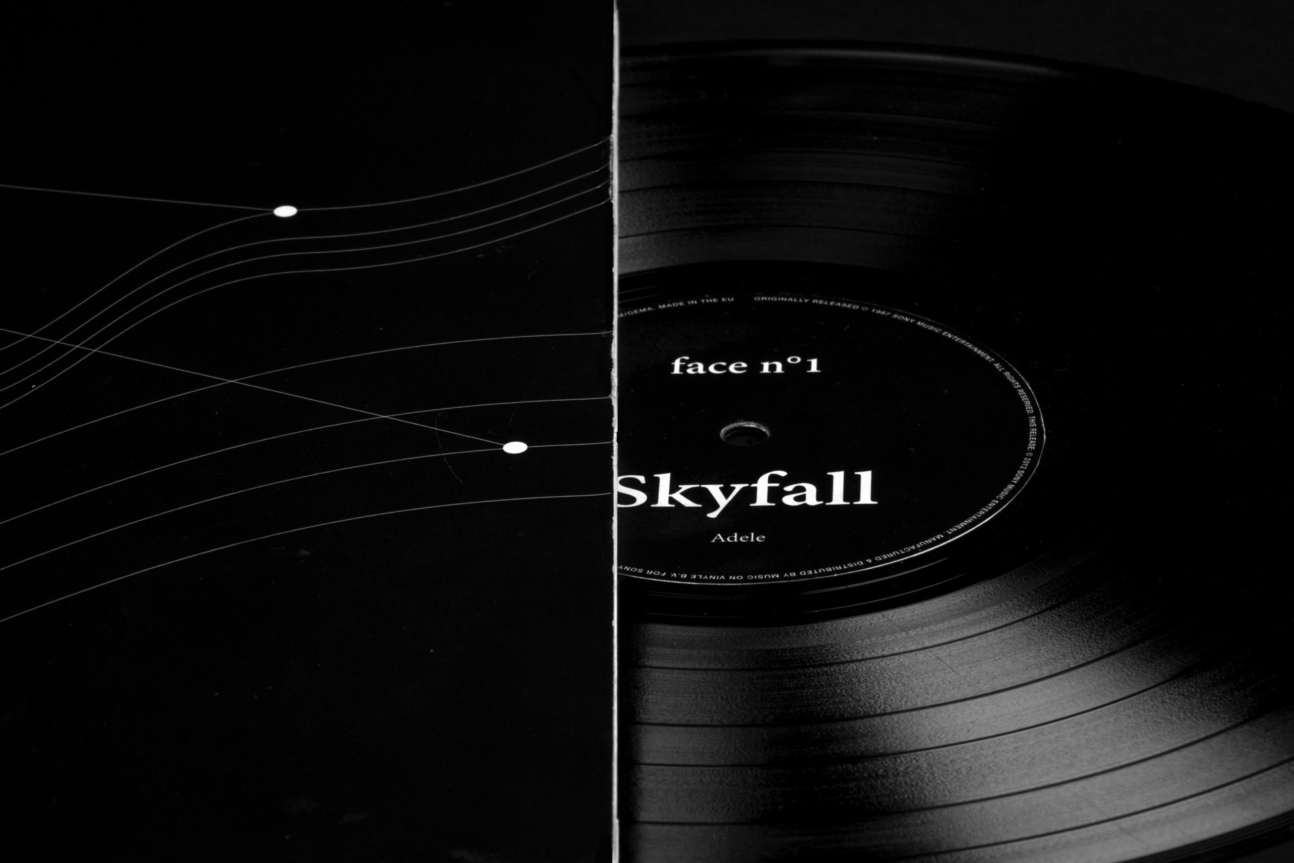 Skyfall image 2