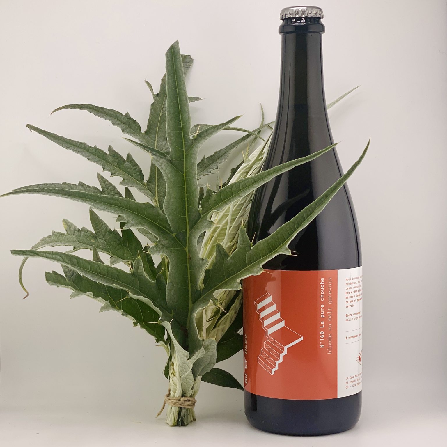 La cave microbrasserie image 4