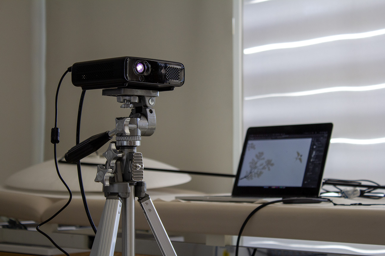 L’hêtre rouge image 4