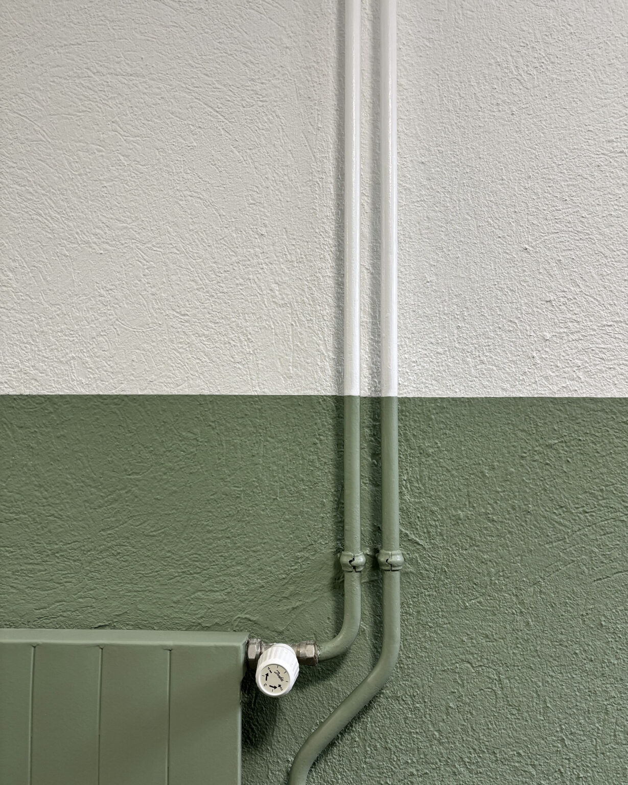 Au couleurs de Carouge image 5